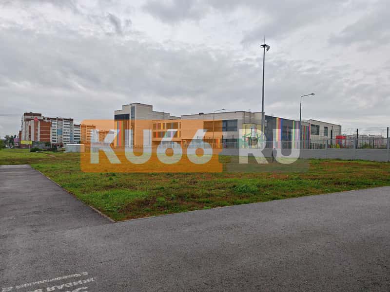 Каменцы сами решили проблемы с газоном, не дождавшись действий от властей, УК «Вертикаль Плюс» и УГХ