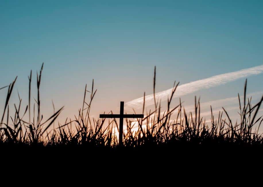 В России умер единственный правнук Достоевского