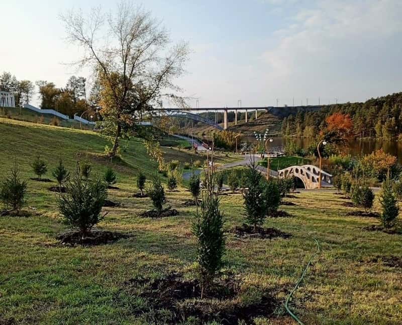 На склоне возле Набережной в Каменске-Уральском высадили 71 елку