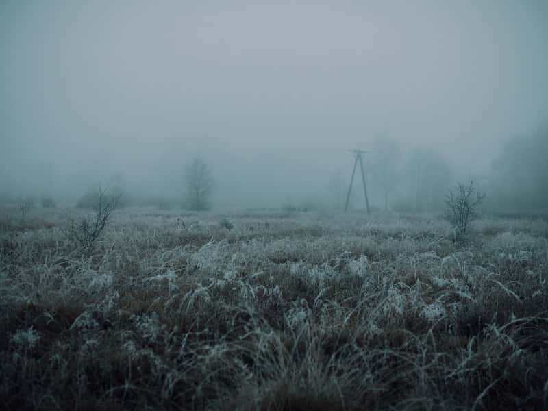 Ноль градусов ночью — синоптики рассказали, чего ждать уральцам в ближайшие дни