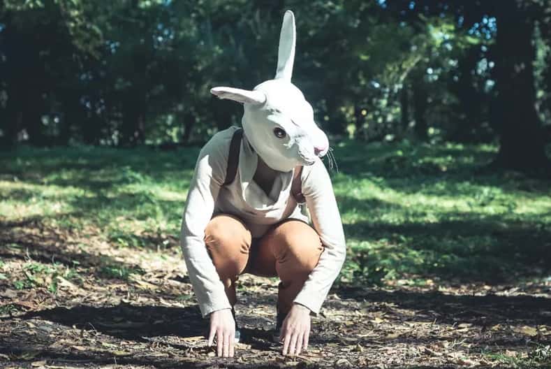 Квадроберов — запретить: с таким предложением выступили в Совфеде