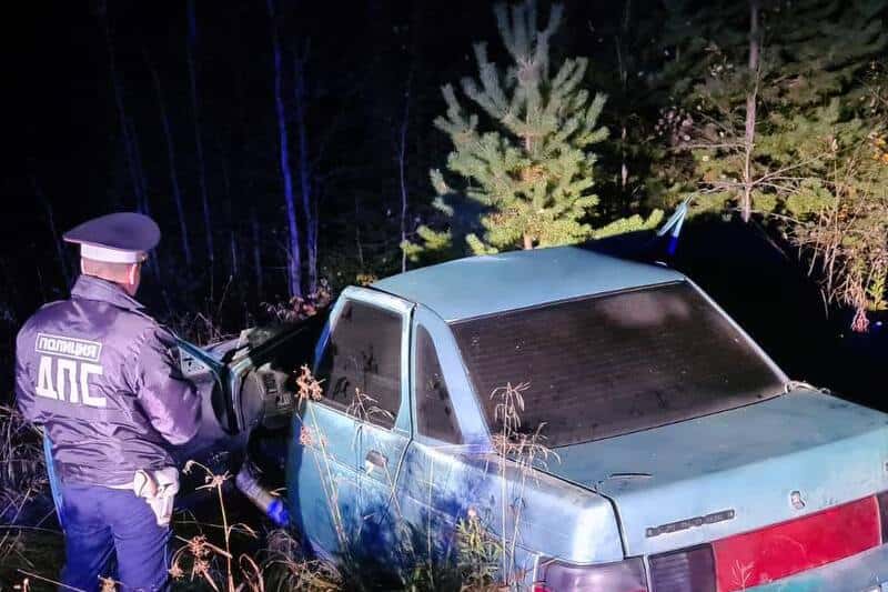 На свердловской трассе машина врезалась в лося, пассажир погиб на месте