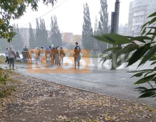 «Вынуждены стоять под дождем»: каменцы ждут остановку на улице Суворова — власти заверили, что ее уже заказали