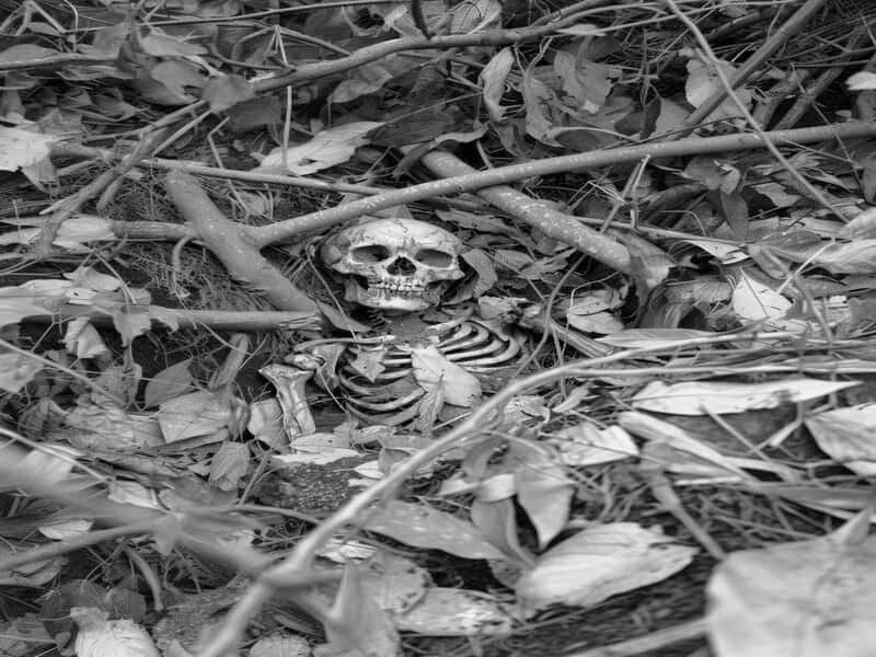 Два обугленных скелета со связанными руками нашли дети в Екатеринбурге