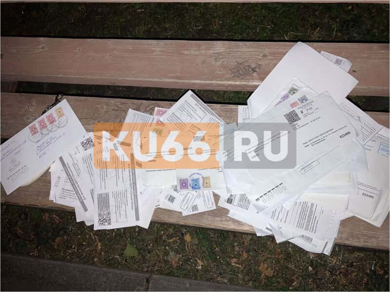 "Почта России" поблагодарила каменчанку за найденные в мусорке письма. А почтальона — накажут