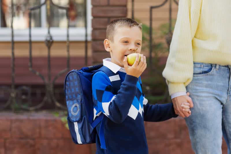 В екатеринбургской школе квадроберам запретили бегать на четвереньках