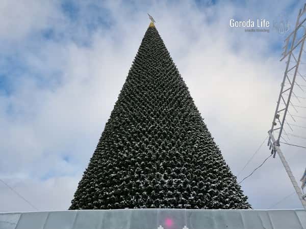 Цены на новогодние корпоративы в России выросли на 30%