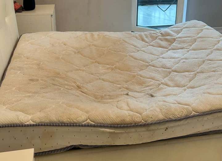 "Сдавала семейной паре": боец поп-ММА разнес арендованную квартиру в Москве. Видео