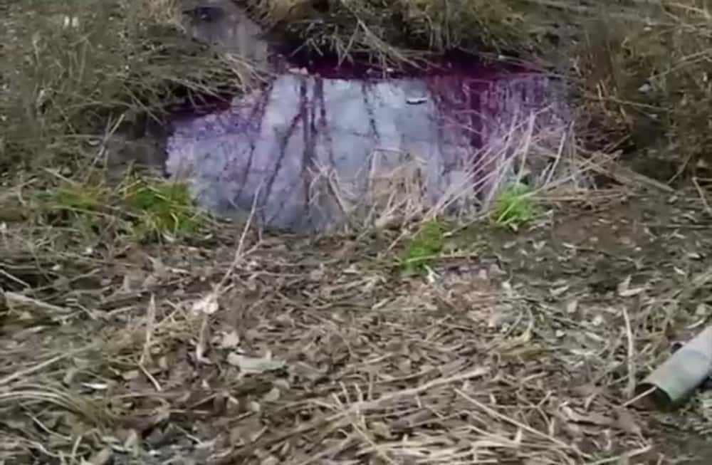 Потоп из тухлого борща произошел в Челябинской области. Видео