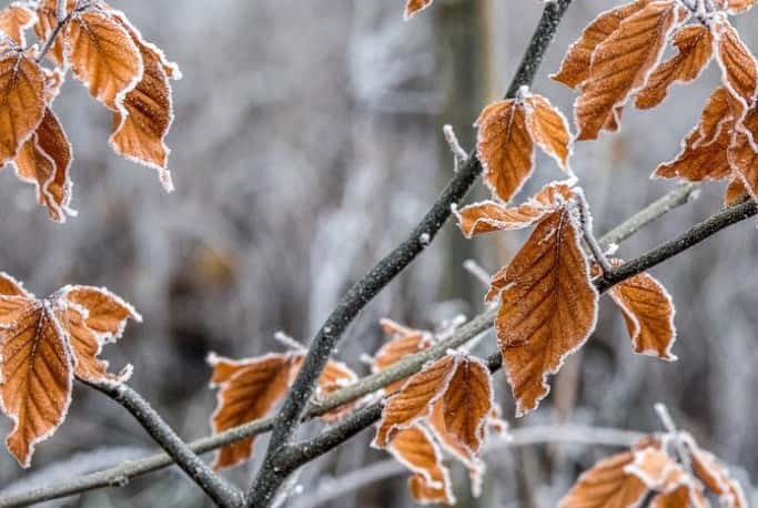 Морозы до -18 градусов ожидаются в Свердловской области
