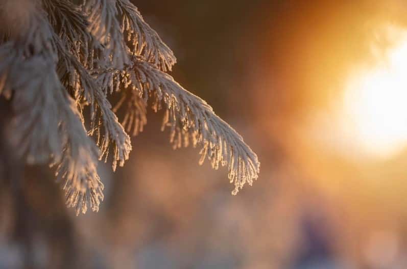 Теплая и мягкая: эколог рассказал KU66, какой будет зима в России в 2024-2025 году