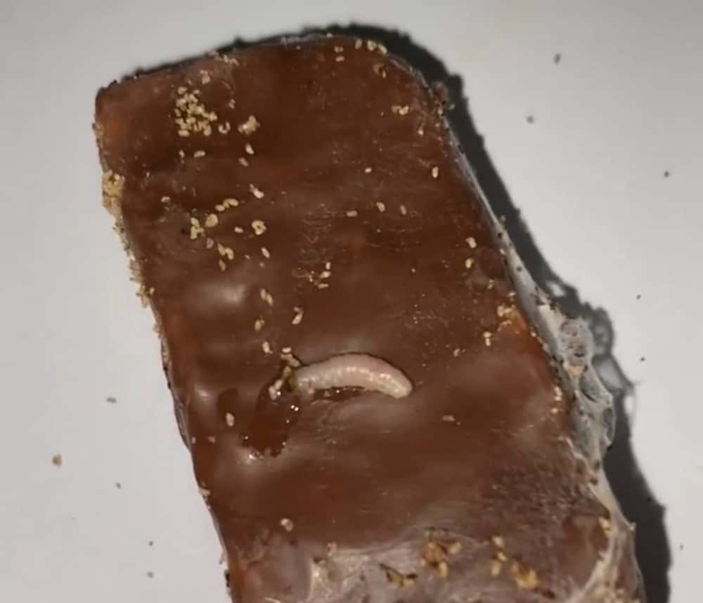 Личинки попались екатеринбурженке в купленных конфетах. Видео