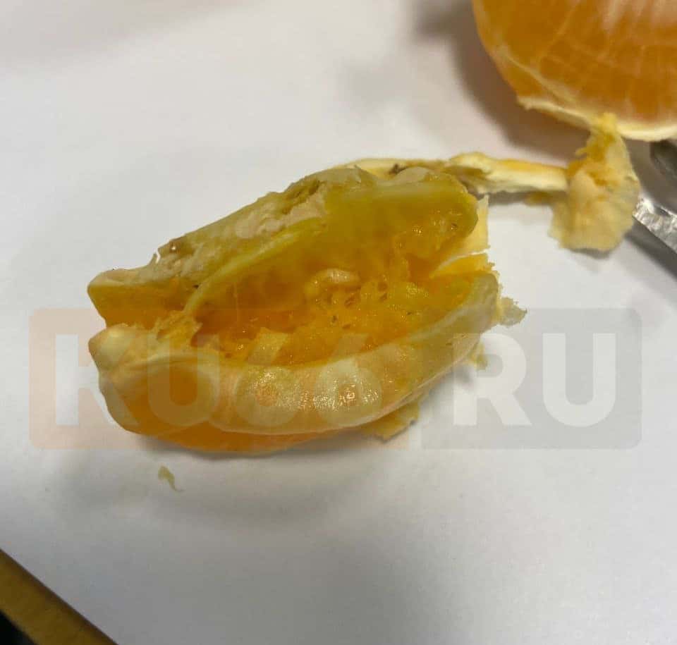 Мандарины с червями купил житель поселка Мартюш. Видео