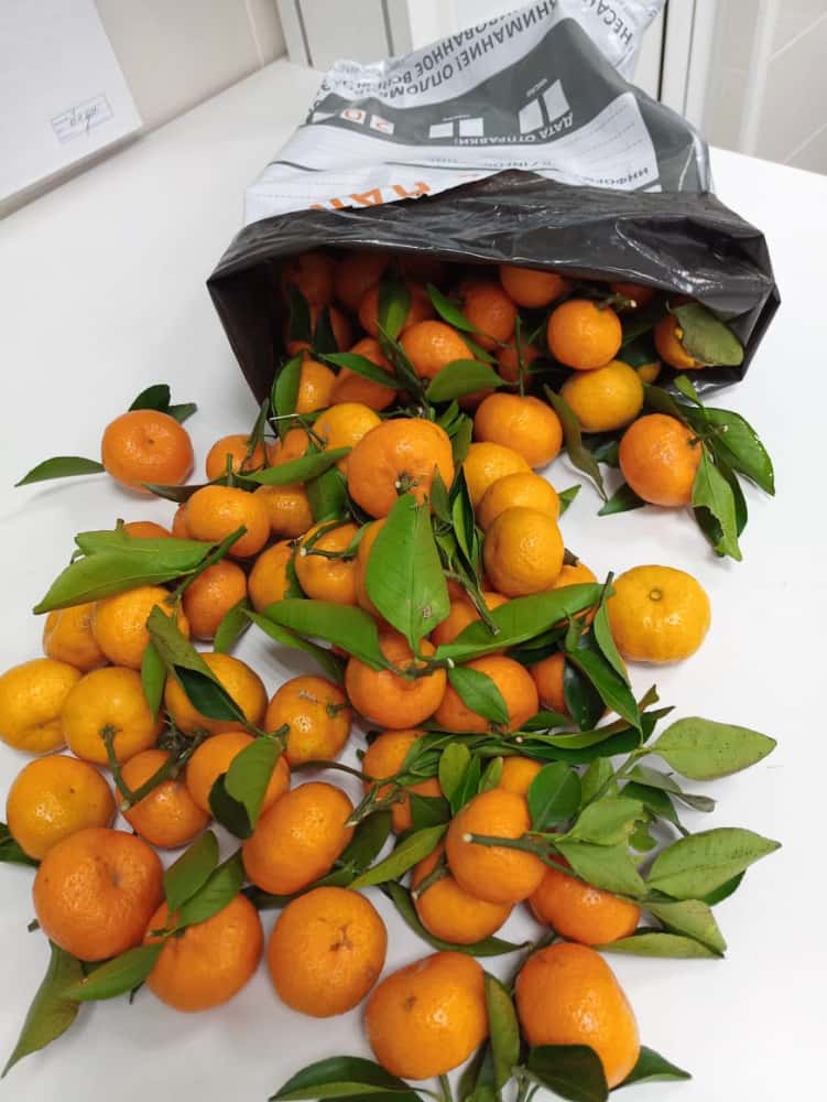 20 тонн мандаринов привезли в Свердловскую область из Китая 