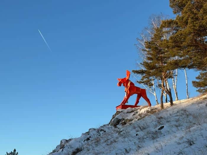 Каменского лося снова нарядили в гигантский шарф. Фото