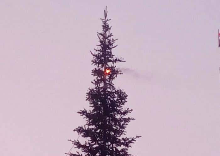 Ель загорелась из-за воспламенившейся гирлянды в Курганской области 