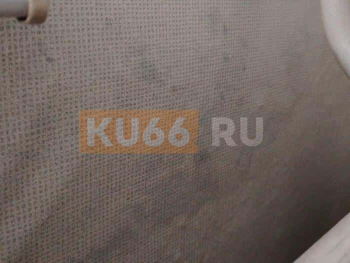 Плесень и холод: жители поселка Первомайский Каменского района страдают из-за отсутствия отопления