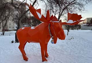 Невзлюбили лося: жителей Каменска-Уральского терроризируют лающие собаки 