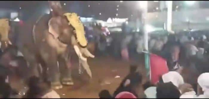 Пожилой мужчина погиб после атаки слона на фестивале в Индии. Видео