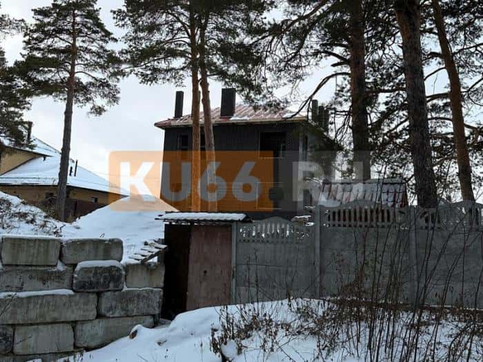 Собственник участка в Каменске-Уральском вырубил более 20 сосен ради вида из окна