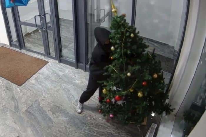 В Екатеринбурге жильцы многоэтажки стащили новогоднюю елку из подъезда 