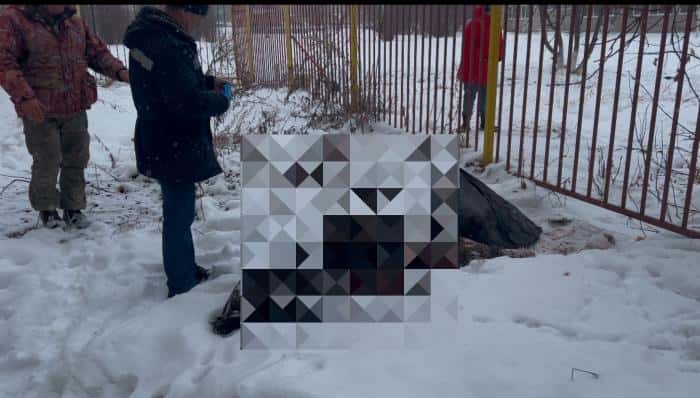 Бродячие собаки разодрали косулю рядом со школой в Каменске-Уральском