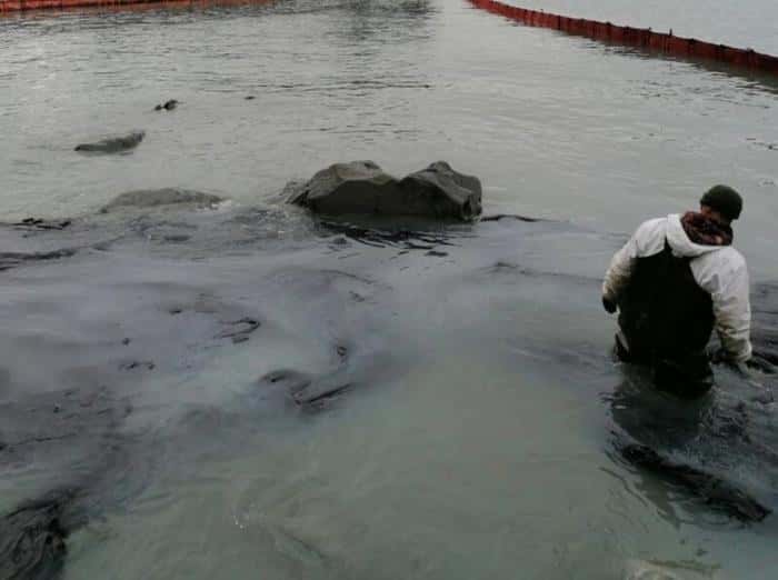 Ожоги и аллергия: россиянам придется забыть про отдых на Чёрном море из-за разлива мазута