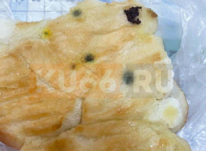 Выпечку с плесенью продали ребенку в кулинарии Каменска-Уральского. Фото