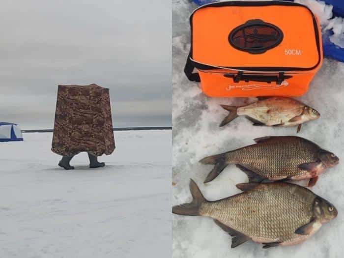 Рекордный улов: рыбак из Каменска-Уральского поймал леща весом 3,07 килограмма