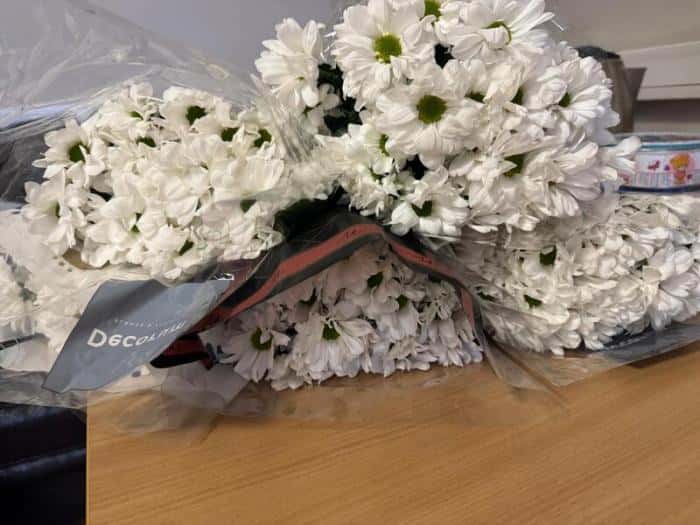 Обнаружены опасные вредители: сотни тысяч зараженных хризантем сожгли в Екатеринбурге