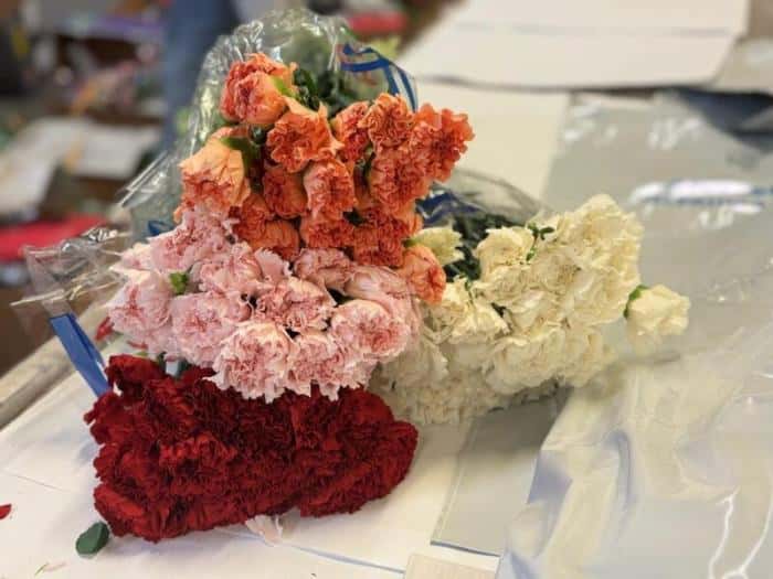 Еще одна партия цветов уничтожена в Екатеринбурге — на этот раз зараженные гвоздики 