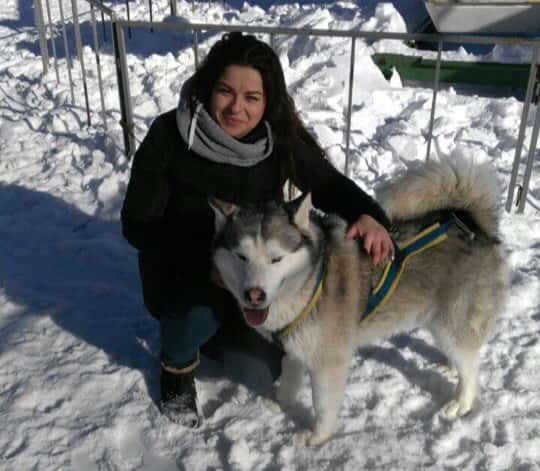 "Спонсоров у нас нет": директор каменского приюта "Бароша" рассказала о своем деле 