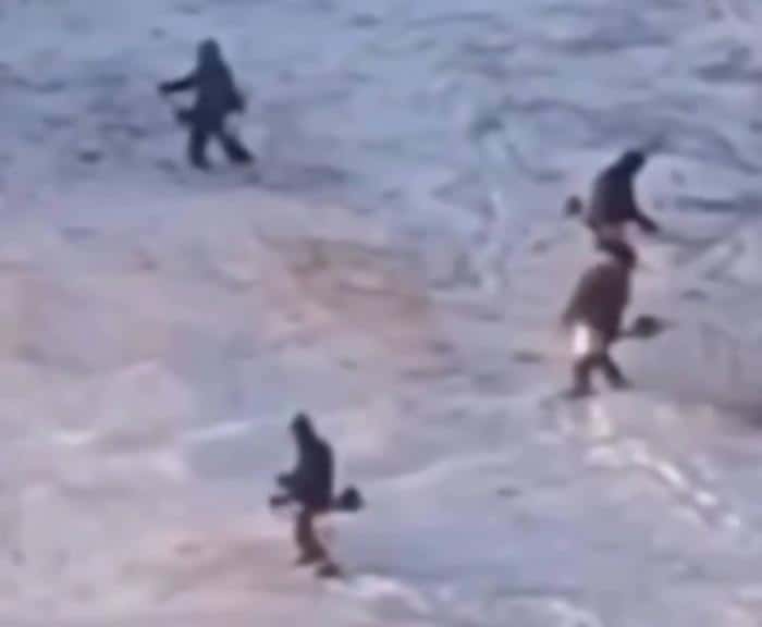 Косили траву в снегу: тюменских коммунальщиков высмеяли британские СМИ. Видео