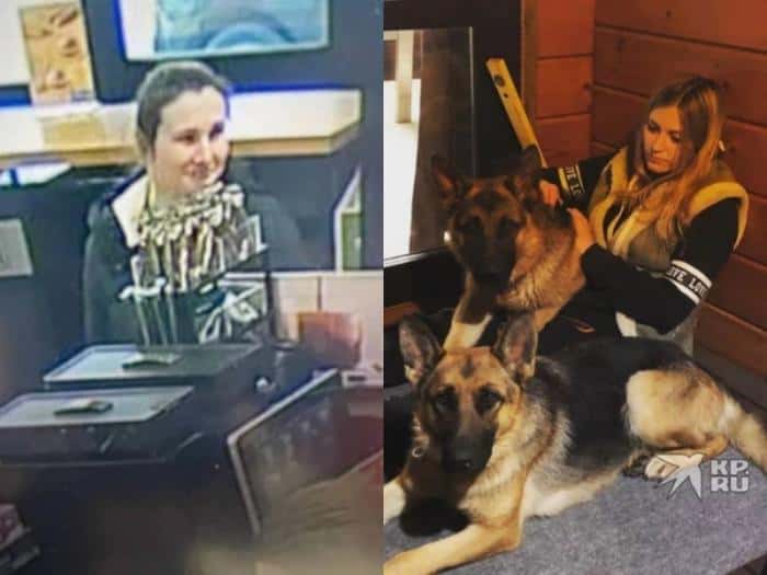 Посадили в машину и увезли: две немецкие овчарки пропали у редактора «Комсомолки» в Екатеринбурге