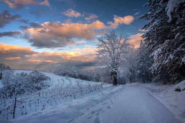 Морозы в Свердловской области: ожидаем -28 °C