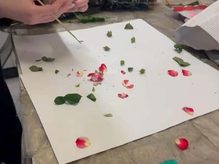 Опасный вредитель: в Екатеринбурге уничтожили 200 роз из Нидерландов и Кении