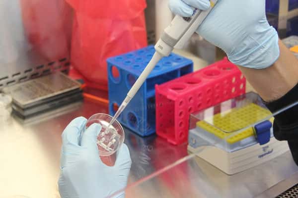 В популярных сосисках «Папа может» нашли опасные вещества