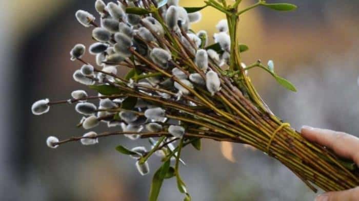 13 апреля - Вербное воскресенье 2025: что можно и нельзя делать в этот день