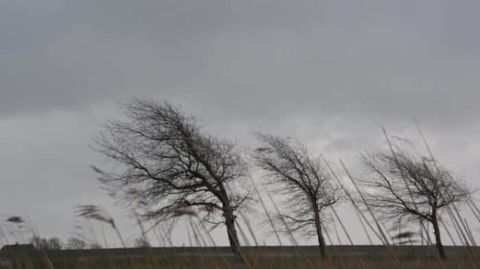 Мощный ветер обрушится на Урал 1 мая: МЧС советует не выходить на улицу