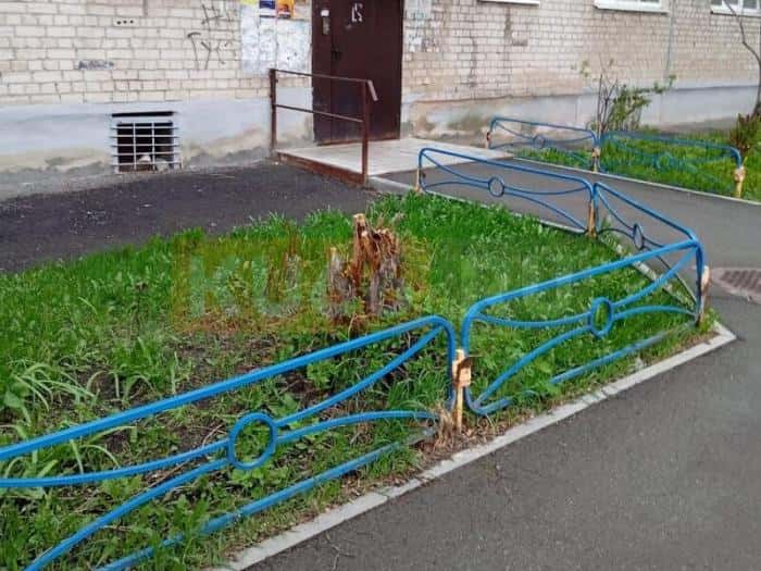 Каменцы пожаловались на "чистку": дворник спилила сирень и жасмин у дома на 4-й Пятилетки