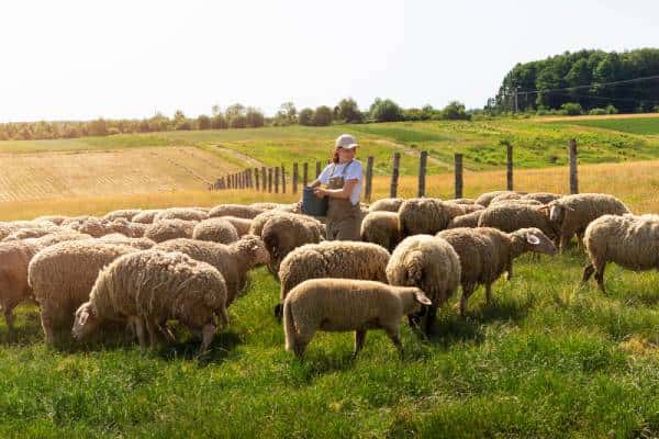 Аграрии Свердловской области не могут найти работников