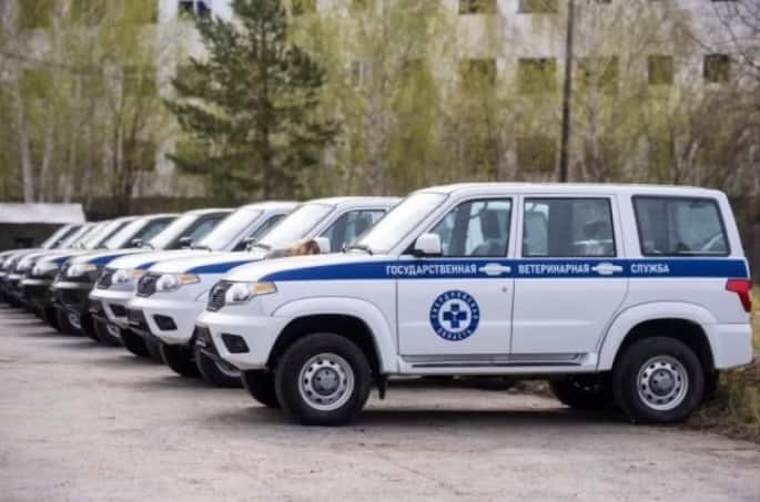 Каменск-Уральский получил новые внедорожники для ветеринарных станций