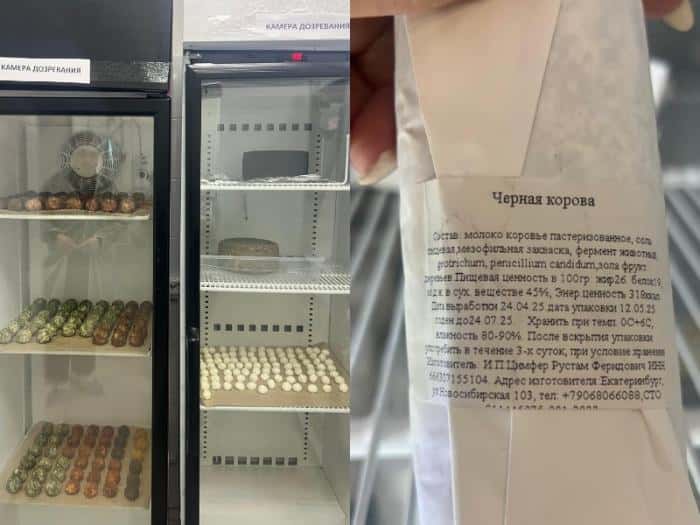 «Сырный» бизнес: 56 килограммов нелегального сыра нашли в квартире Екатеринбурга