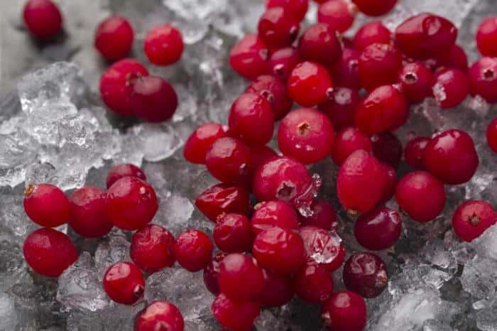 Пережить заморозки: как изменятся цены на любимые ягоды этим летом