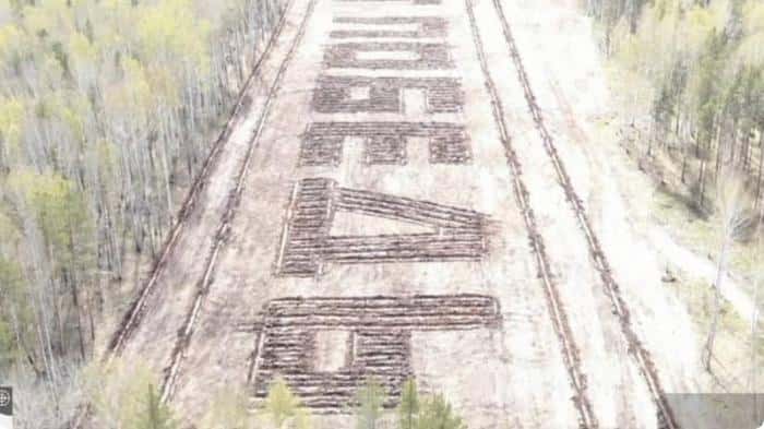 Уникальный памятник: как высадили 13 тысяч деревьев для геоглифа в Свердловской области