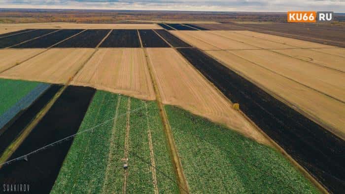 График химической обработки земель АО «Каменское»: будьте внимательны, пчеловоды!