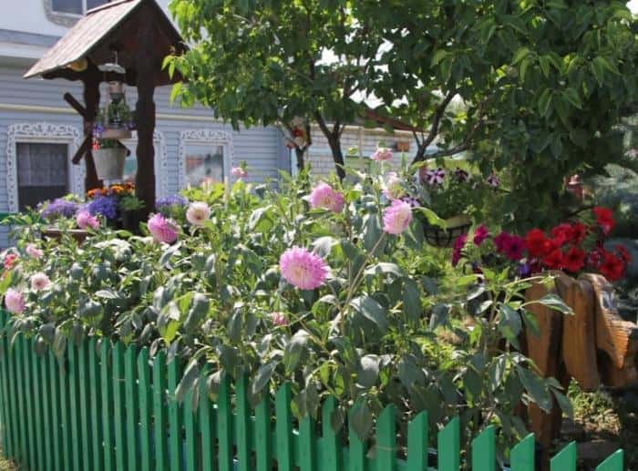 «Лучшего дворника» выберут в Каменске-Уральском — нужно будет как следует убрать город