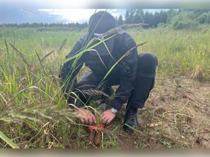 Свердловчанин копал в саду и чуть не подорвался на гранатах столетней давности