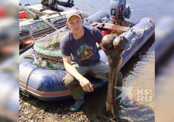 «Думал — камень!»: на Урале рыбак выловил 15-килограммовую кость мамонта