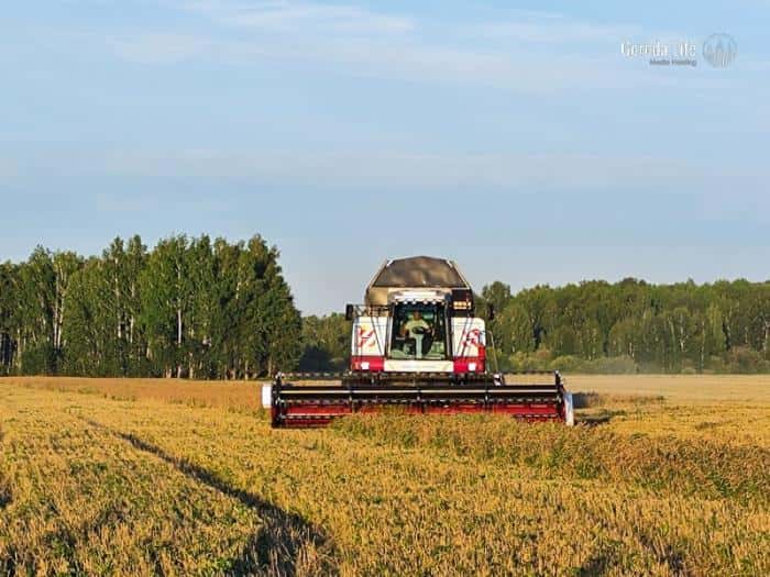 Как защитить урожай от птиц, мышей и ежей: советы от Россельхознадзора